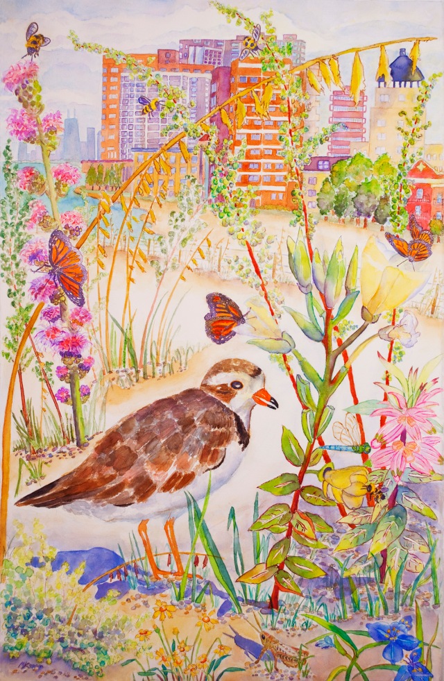 © Michelle Kogan Rogers Park Dunes Restoration with Piping Plover, endangered species, watercolor and watercolor on paper.