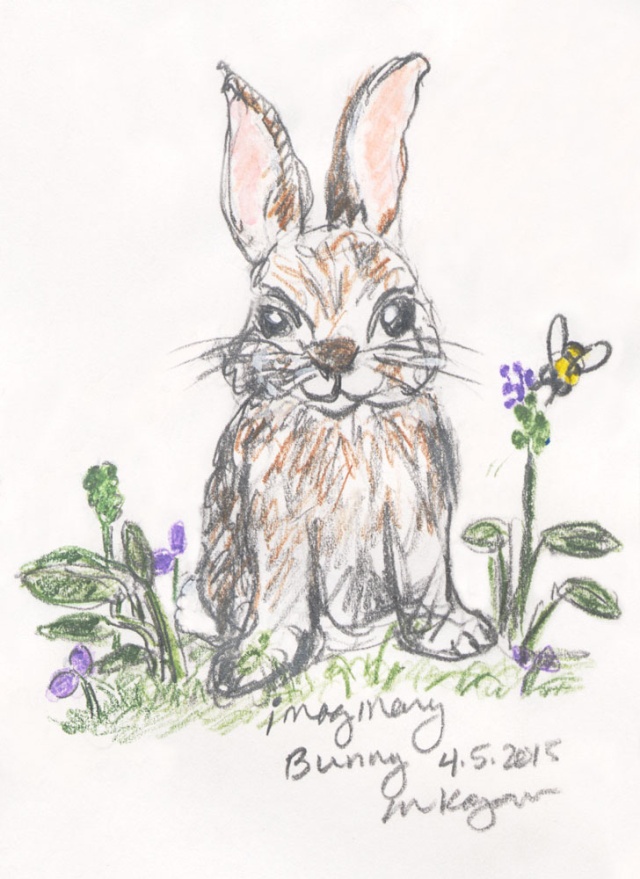 mkogan-©-Missing-Critter-Call-Imaginary-Bunny--4-5-2015