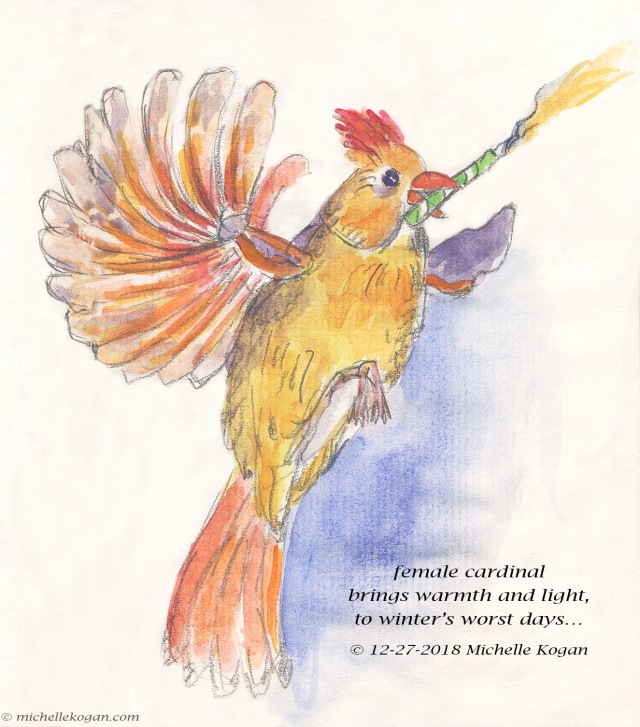 1-Female Cardinal-12-26-2018 copy copy