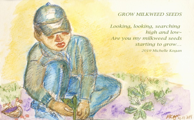 1-looking for milkweed seeds--4-13-2019